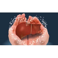 百病从肝治：肝脏保健方法汇总
