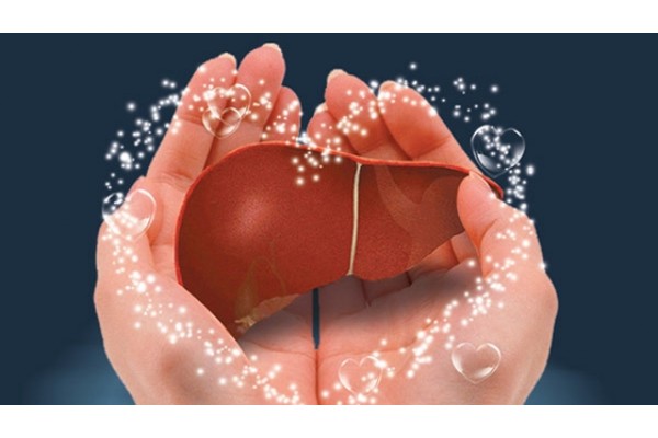 百病从肝治：肝脏保健方法汇总