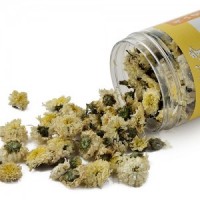 贡菊泡水喝的功效