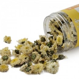 贡菊泡水喝的功效