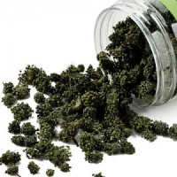 三七花 - 药膳食疗