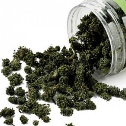 三七花 - 药膳食疗