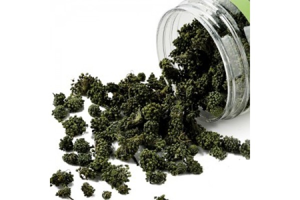 三七花 - 药膳食疗