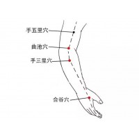 网球肘的中医治疗方法